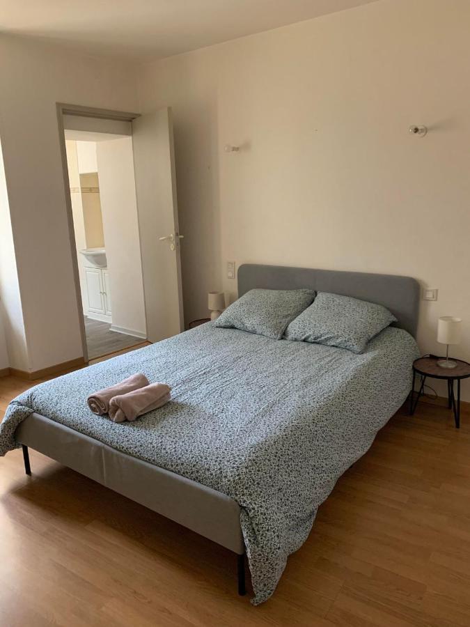 Ravissant Appartement T3 Hypercentre De Mazamet Dış mekan fotoğraf